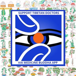 Sq MEDICINE BUDDHA Medicine Buddha Mobile Ap with Tenzin Metok 1 1